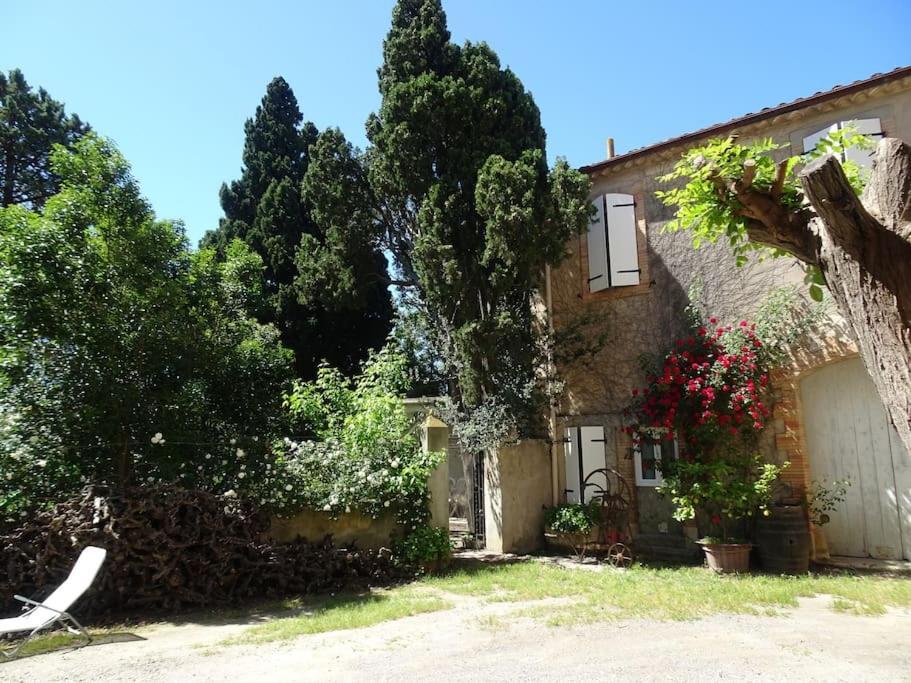 Sigean - Maison Domaine Viticole, 6 Km De La Mer Exterior foto